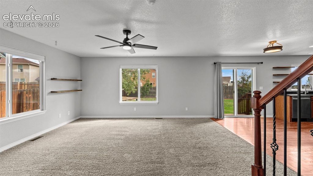 7805 Morning Dew Road, Colorado Springs, CO 80908 — photo 5