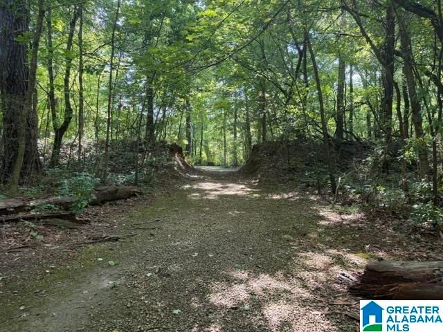 337 CREEKSIDE LANE, Pelham, AL 35124