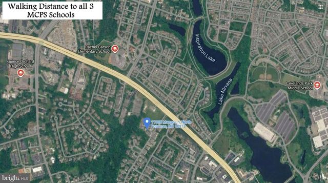 11808 MANGO LN, North Potomac, MD 20878