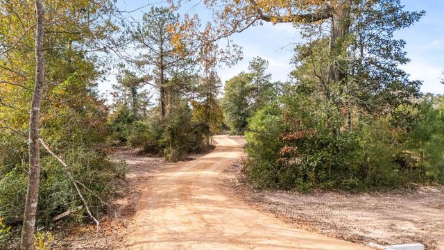 17300 Fm 943, Livingston, TX 77351