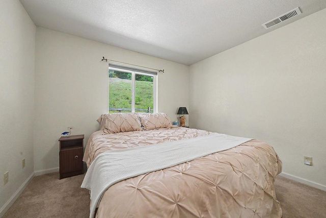 26845 Spring Ct, Pioneer, CA 95666
