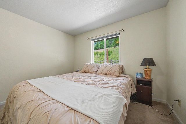 26845 Spring Ct, Pioneer, CA 95666
