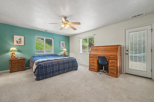 26845 Spring Ct, Pioneer, CA 95666