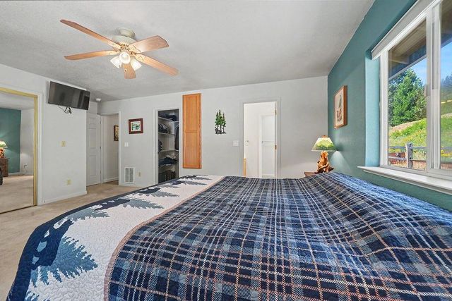 26845 Spring Ct, Pioneer, CA 95666