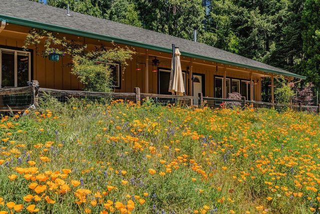 26845 Spring Ct, Pioneer, CA 95666