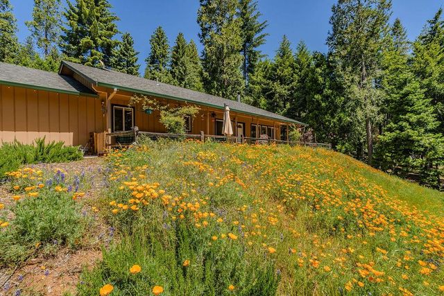 26845 Spring Ct, Pioneer, CA 95666