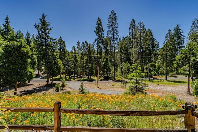 26845 Spring Ct, Pioneer, CA 95666