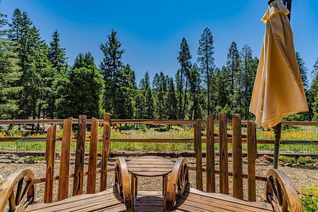 26845 Spring Ct, Pioneer, CA 95666