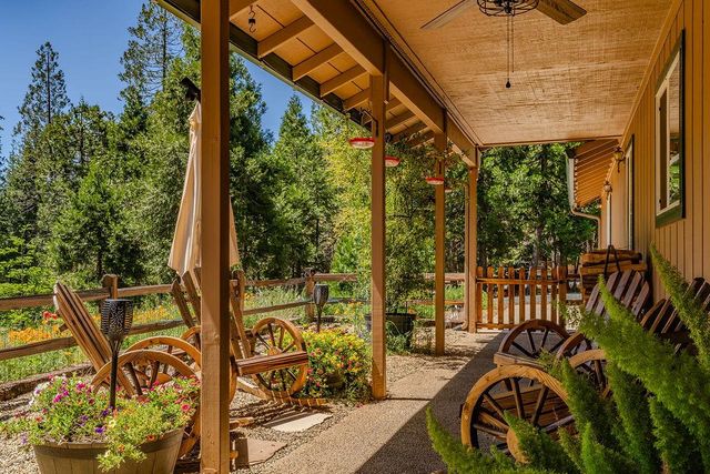 26845 Spring Ct, Pioneer, CA 95666