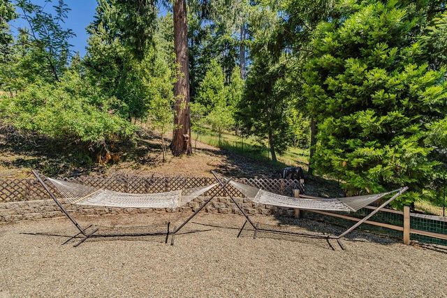 26845 Spring Ct, Pioneer, CA 95666