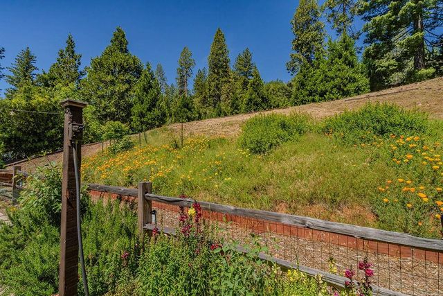 26845 Spring Ct, Pioneer, CA 95666