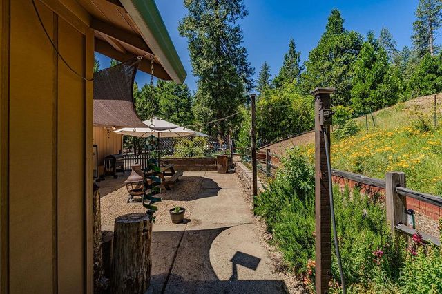 26845 Spring Ct, Pioneer, CA 95666