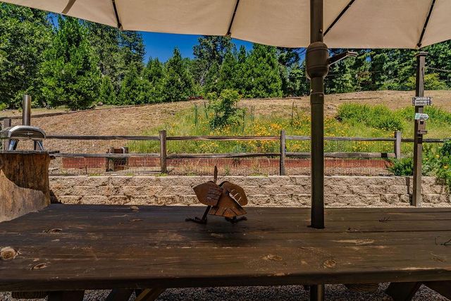 26845 Spring Ct, Pioneer, CA 95666