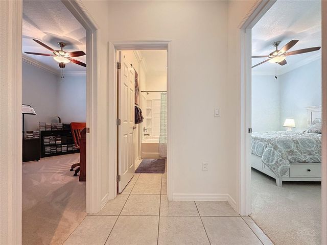 209 SILVER MAPLE ROAD, Groveland, FL 34736