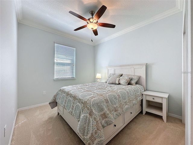 209 SILVER MAPLE ROAD, Groveland, FL 34736