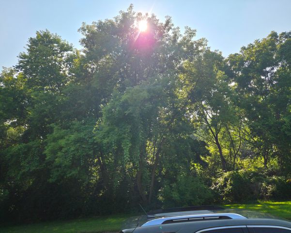 8236 Trinity Street, Detroit City, MI 48228