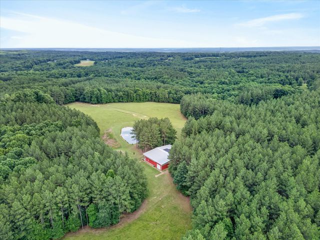 635 Seven Mile Ridge Rd, Indian Mound, TN 37079