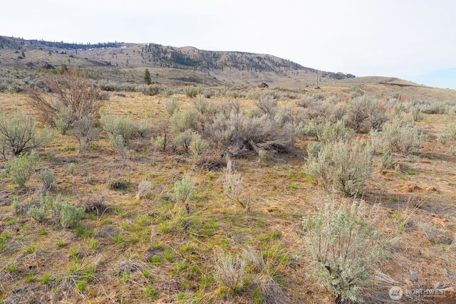 0 Parcel C McNeil Canyon Rd, Orondo, WA 98816