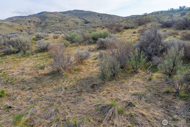 0 Parcel C McNeil Canyon Rd, Orondo, WA 98816