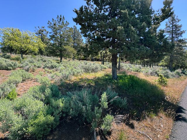 Kestrel Road Lot 569, Klamath Falls, OR 97601