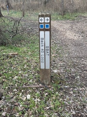 Lot 6 Amble Drive, Bella Vista, AR 72714