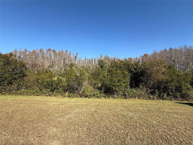 18347 TURNING LEAF CIRCLE, Land O Lakes, FL 34638