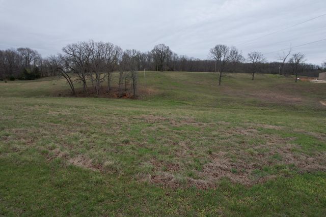 408 County Road 599, Caulfield, MO 65626