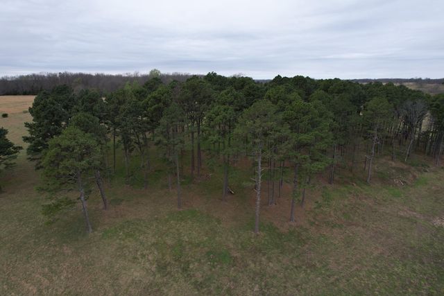 408 County Road 599, Caulfield, MO 65626