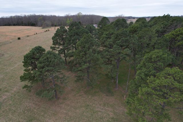 408 County Road 599, Caulfield, MO 65626