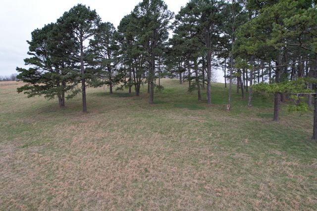 408 County Road 599, Caulfield, MO 65626