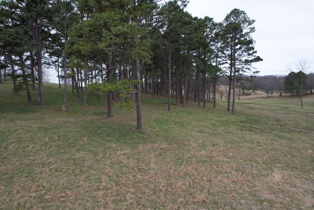 408 County Road 599, Caulfield, MO 65626