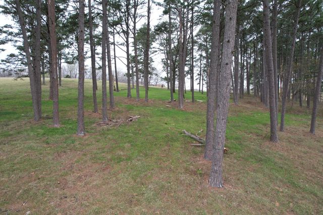 408 County Road 599, Caulfield, MO 65626