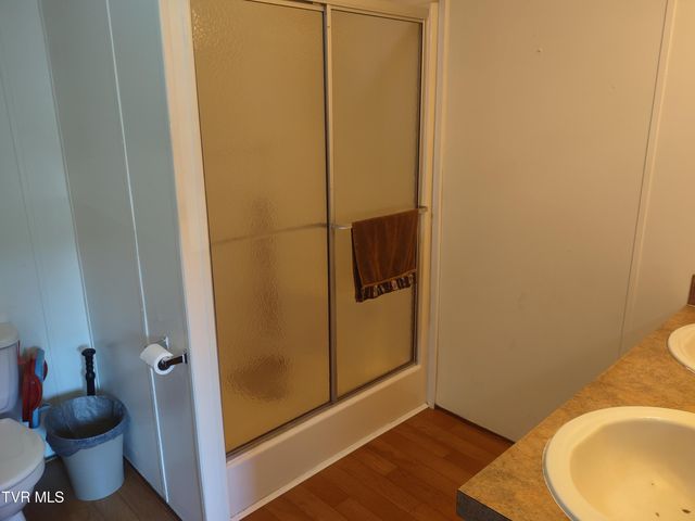 31196 Old Saltworks Road, Meadowview, VA 24361