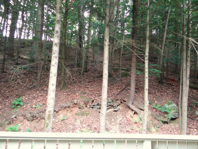 31 Pleasant St Unit 52, Lebanon, NH 03784
