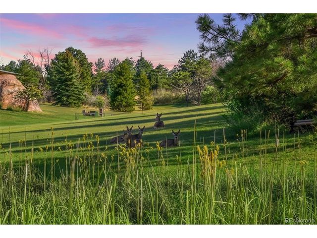 6154 Meadowbrook Dr, Morrison, CO 80465