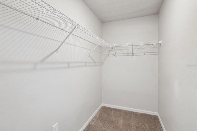 1884 PIEDMONT COURT, Mascotte, FL 34753