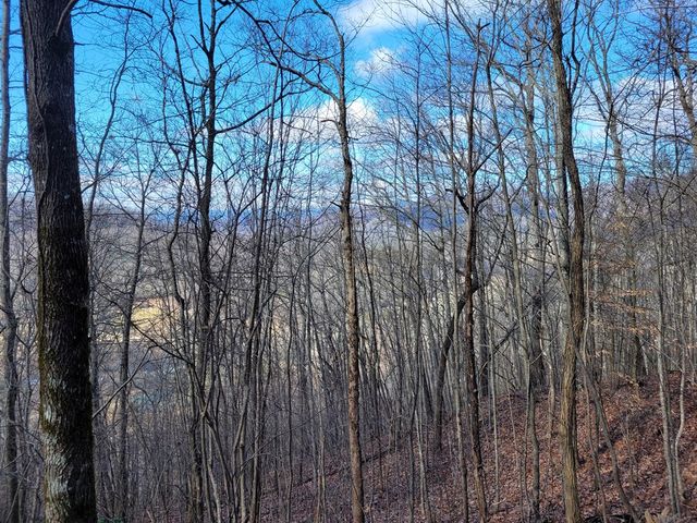 69 Colt Run, Hayesville, NC 28904