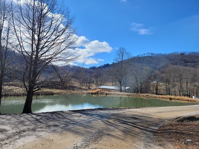 69 Colt Run, Hayesville, NC 28904