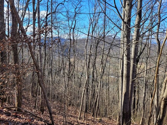 69 Colt Run, Hayesville, NC 28904