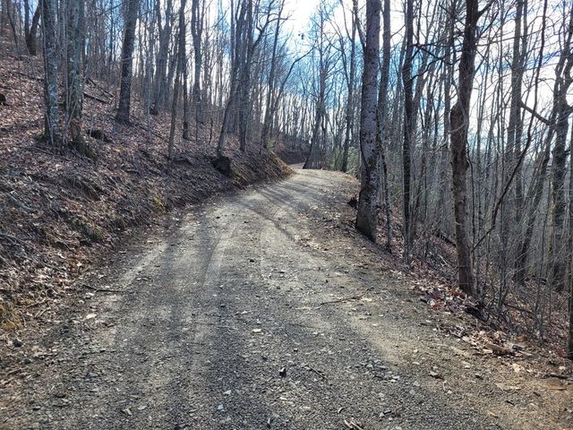 69 Colt Run, Hayesville, NC 28904