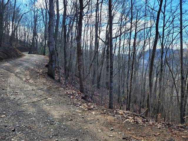 69 Colt Run, Hayesville, NC 28904