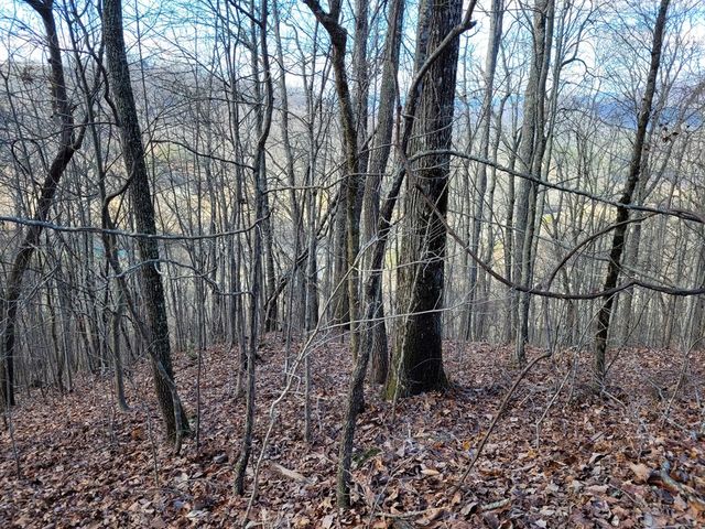 69 Colt Run, Hayesville, NC 28904