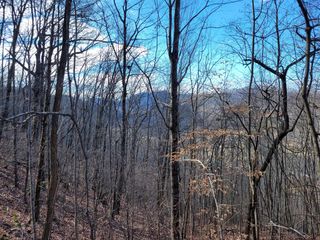 69 Colt Run, Hayesville, NC 28904