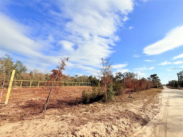 000 NE 67TH LANE, Williston, FL 32696