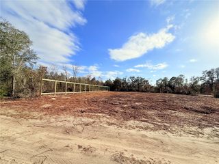000 NE 67TH LANE, Williston, FL 32696