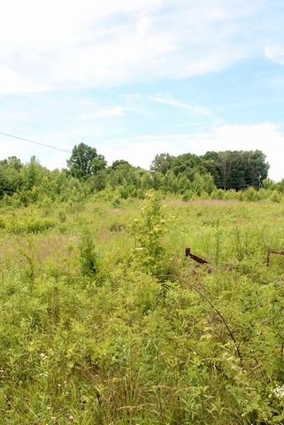 482 Friendship Lane, Delano, TN 37325