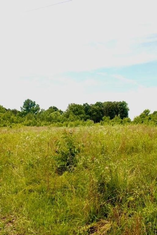 482 Friendship Lane, Delano, TN 37325