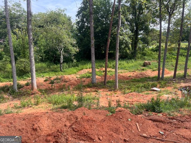 2063 Highway 197 N, Clarkesville, GA 30523