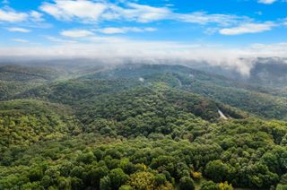 000 Pine Top Road, Hollister, MO 65672