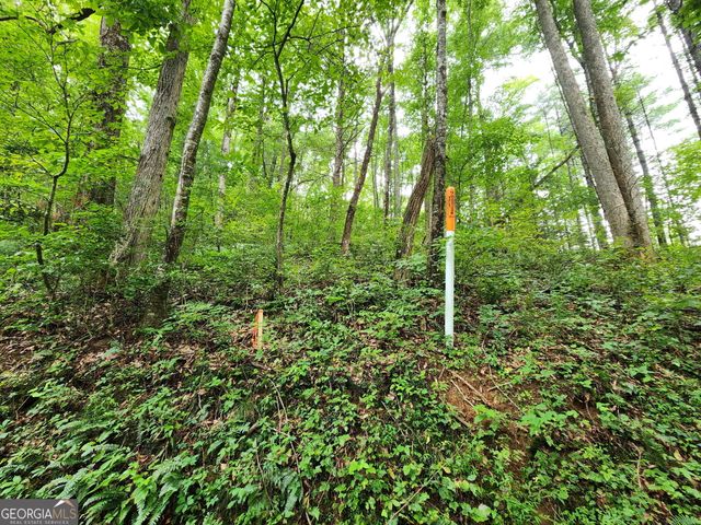 TRACT 2A Poplar Cove Trail, Suches, GA 30572